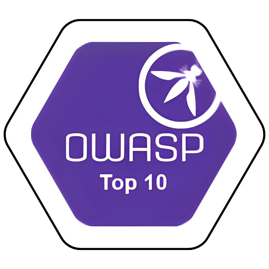 OWASP Top 10 Logo