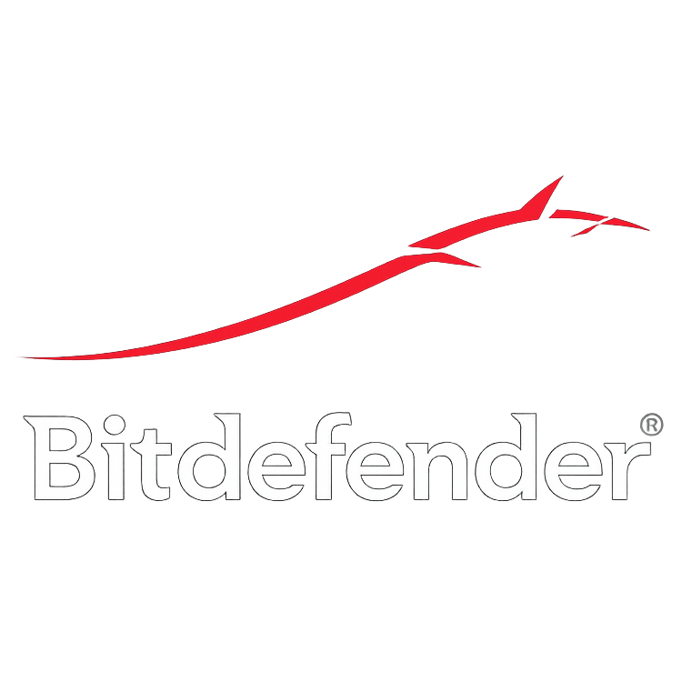 International Partner 2